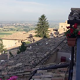 A rooftop view of a rural town with a suburban neighborhood on a sunny day.