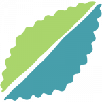 A split blue and green leaf graphic.