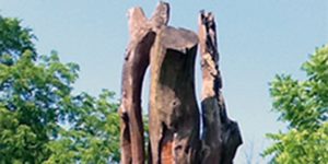A large wooden tree trunk surrounded by lush green trees on a sunny day.