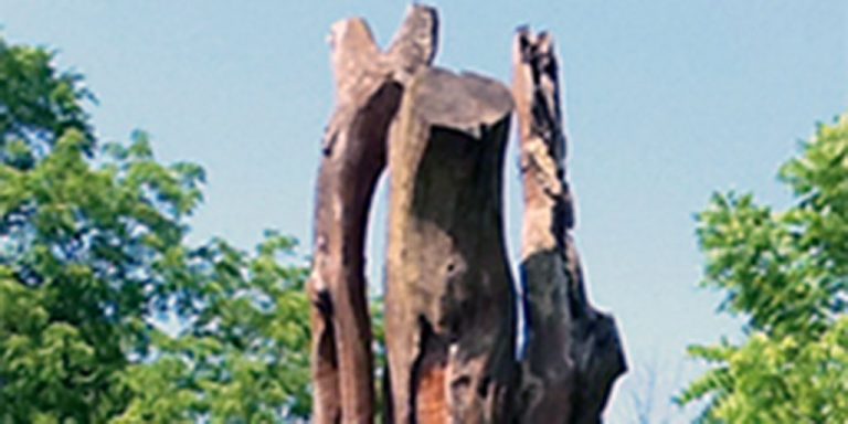 A large wooden tree trunk surrounded by lush green trees on a sunny day.