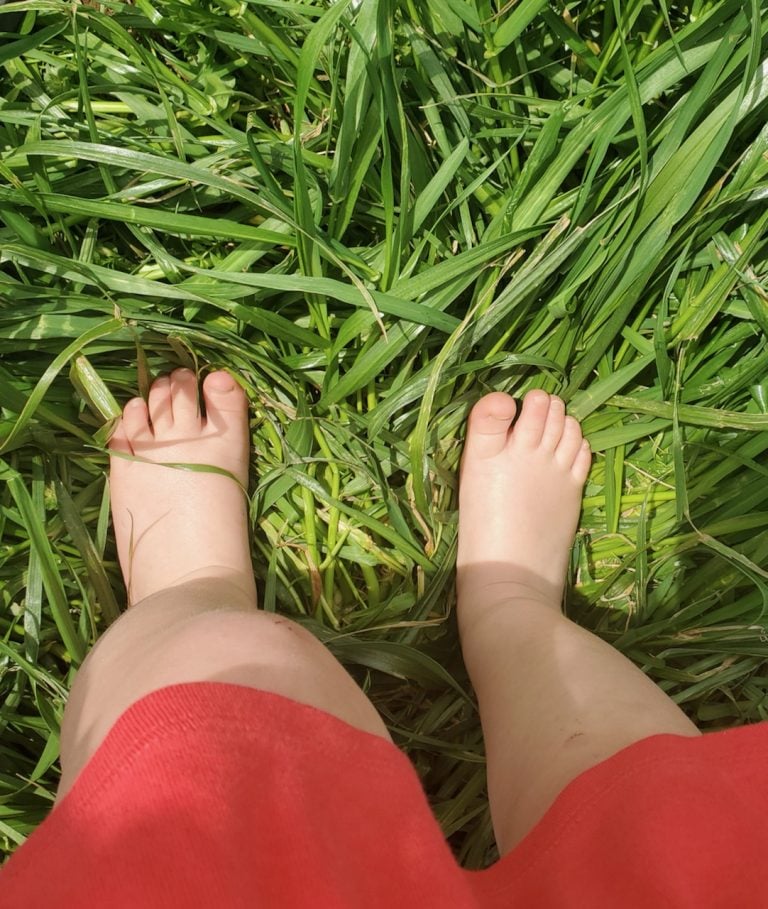 Child's bare feet in long green grass.
