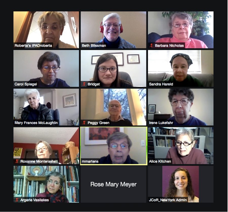 Screenshot of online meeting participants