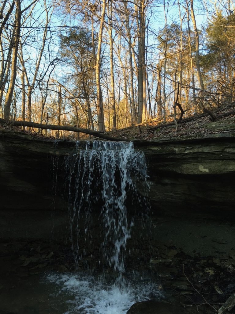 A small waterfall in a spring woods.
