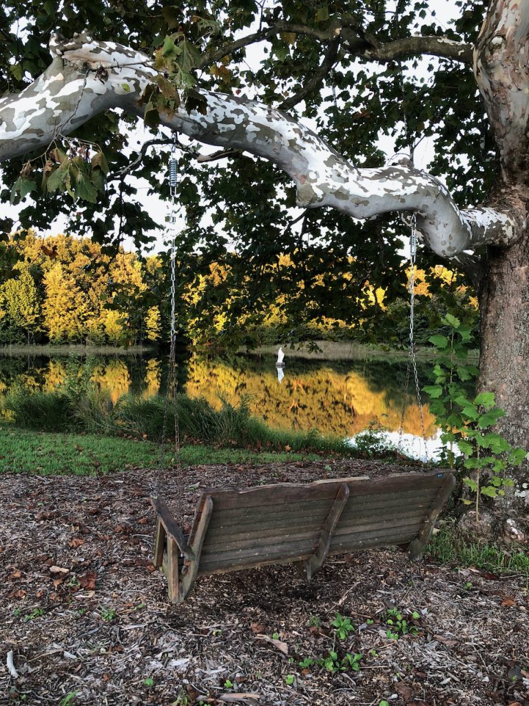 A wooden swing hangs from a tree branch. In the background, a statue of Mary stands in the middle of the lake.