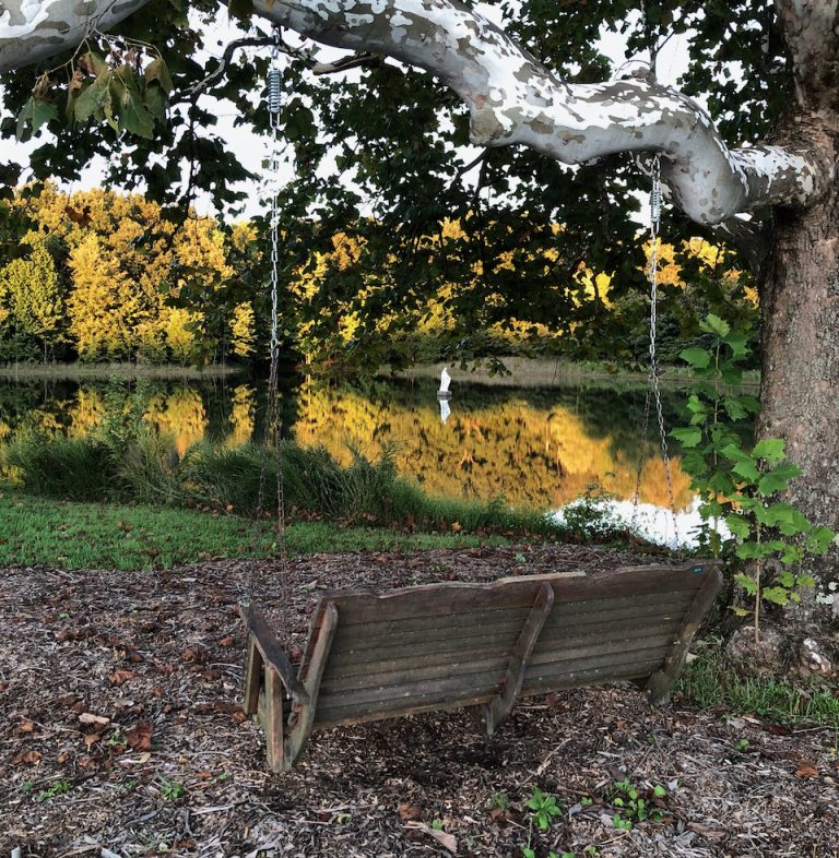 A wooden swing hangs from a tree branch. In the background, a statue of Mary stands in the middle of the lake.