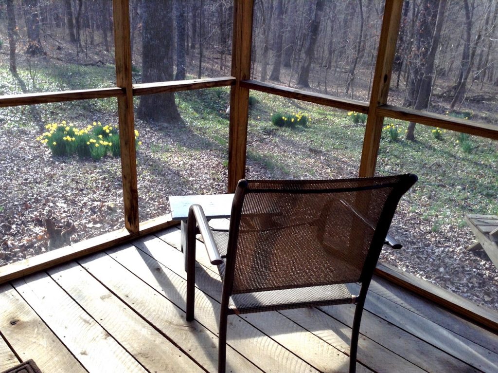 View of a simple chair in the corner of a screen porch, facing out to a view of the woods.