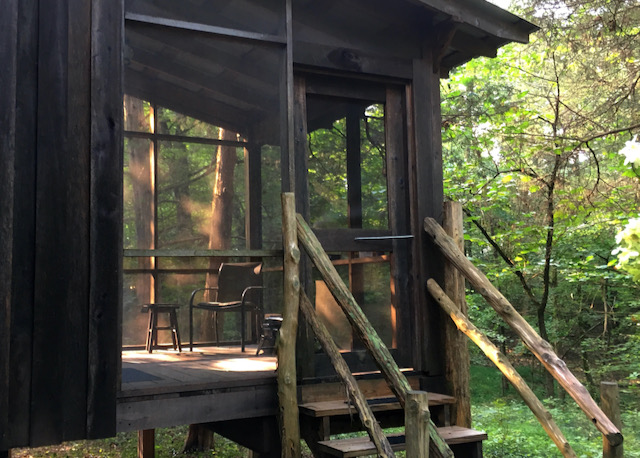 A view of a screened-in porch on a wood cabin in the woods.