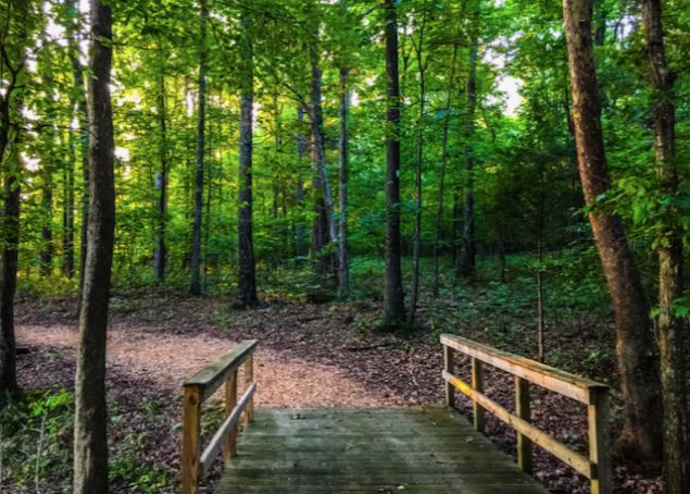 A walking path continues past a wooden bridge into the woods.