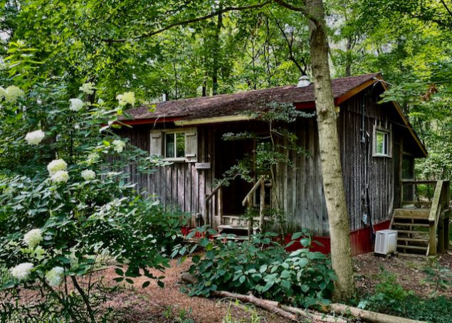 A simple wooden cabin is surrounded by trees and greenery.