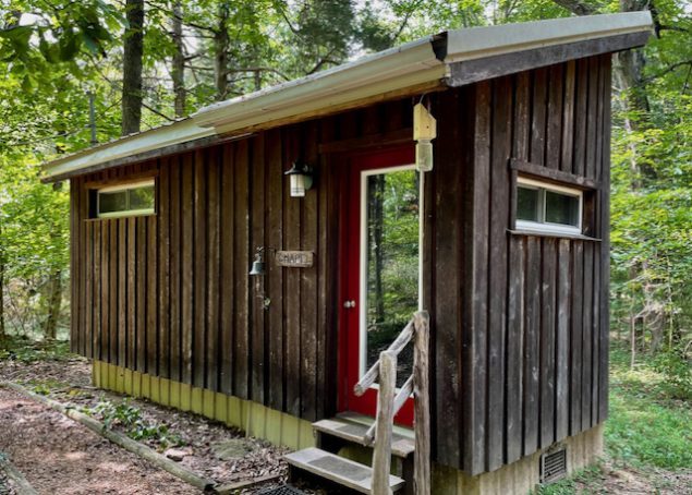 A simple lean-to cabin stands in the woods. Two steps lead up to the door.