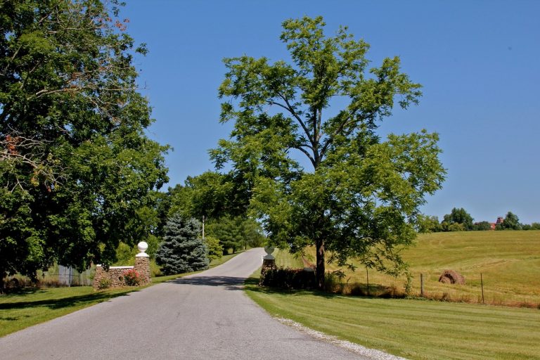 A road passes between two pillars built of stones and goes off to the horizon.