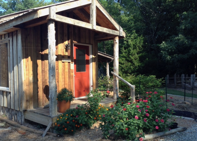 A simple cabin with a red door and roses around the porch.