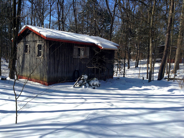 A simple cabin stands in the woods. Snow blankets the roof and the ground.