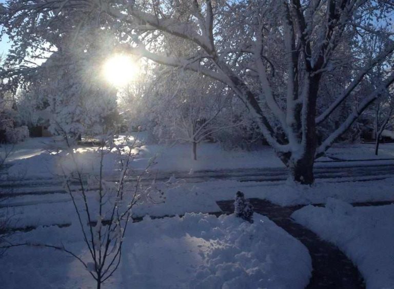 Winter Wonderland in Colorado