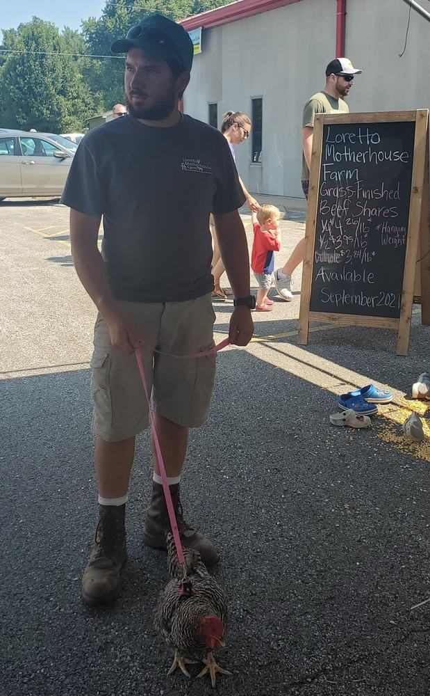 Man walking a chicken on a leash.