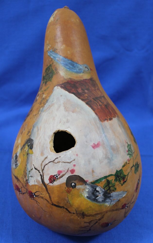 Gourd painted with a bird on a branch with a bird house in the background