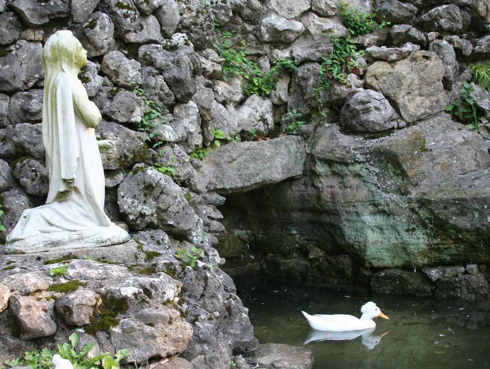 A duck with a tufted head swims in a pool below a statue of Bernadette Soubirous in prayer. 