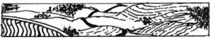 Balcony Logo