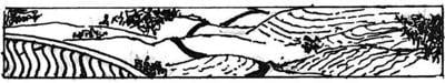 Balcony Logo