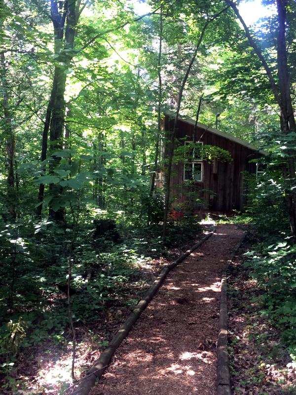 A small wooden cabin is visible through the green trees.