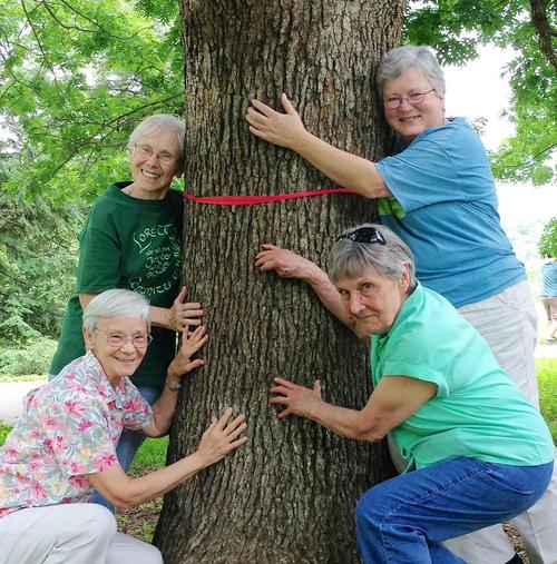 Four women smiling and posing while hugging a lush tree.