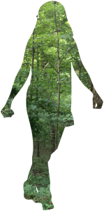 The outline of a woman walking, filled in by a view of trees in the woods.