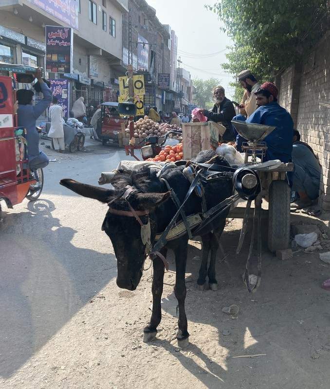 People selling fruit out of a donkey-drawn cart on a busy street.