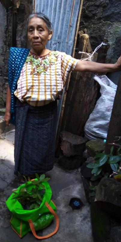 An older woman stands outside with a green bag of young plants.