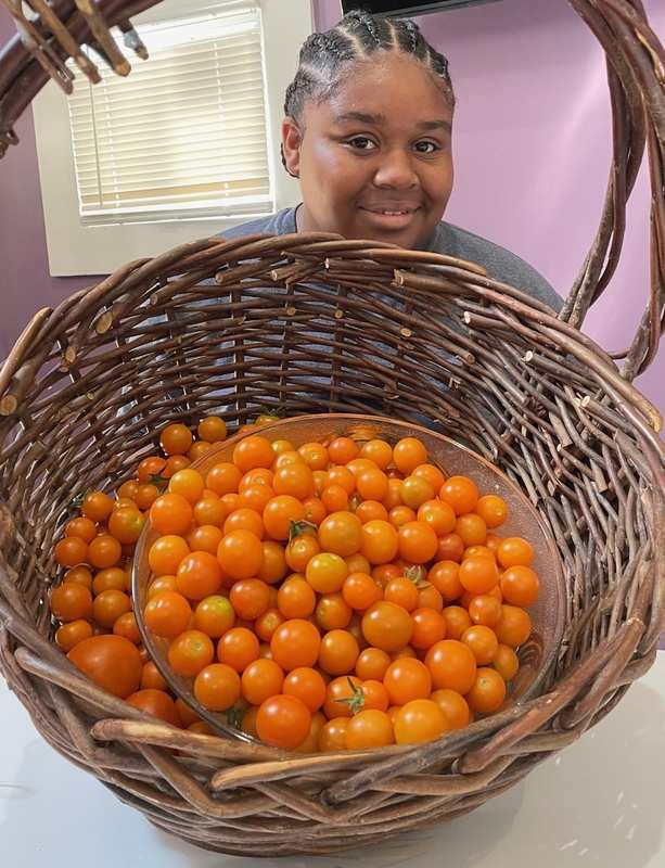 A Black woman's smiling face can be seen through the handle of a large basket full of cherry tomatoes.