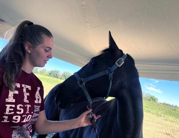 Young woman with long ponytail smiles looking down at a horse with the halter in her hands.