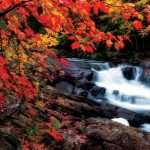 Photo of a small waterfall cascading down rocks in the midst of a rocky scene surround by trees with changing fall leaves of red, yellow, green and orange.
