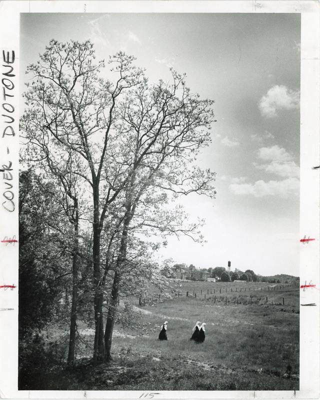 Black and white archival photo of three habited nuns walking out from a bank of tall trees into farmland.