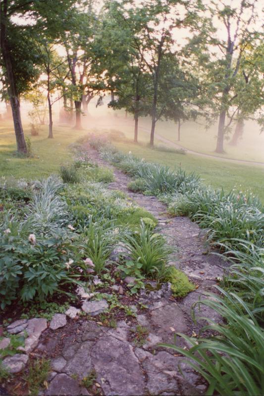 A stone path bordered by dew-covered plants leads downhill and disappears into trees and mist.