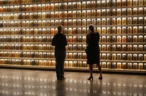 Two women admiring a grand wall of back-lit glass jars with assorted dirt and pebbles. It is a memorial site, each jar has the ground material from different lynching sites, putting the sheer volume of the tragedies into perspective.