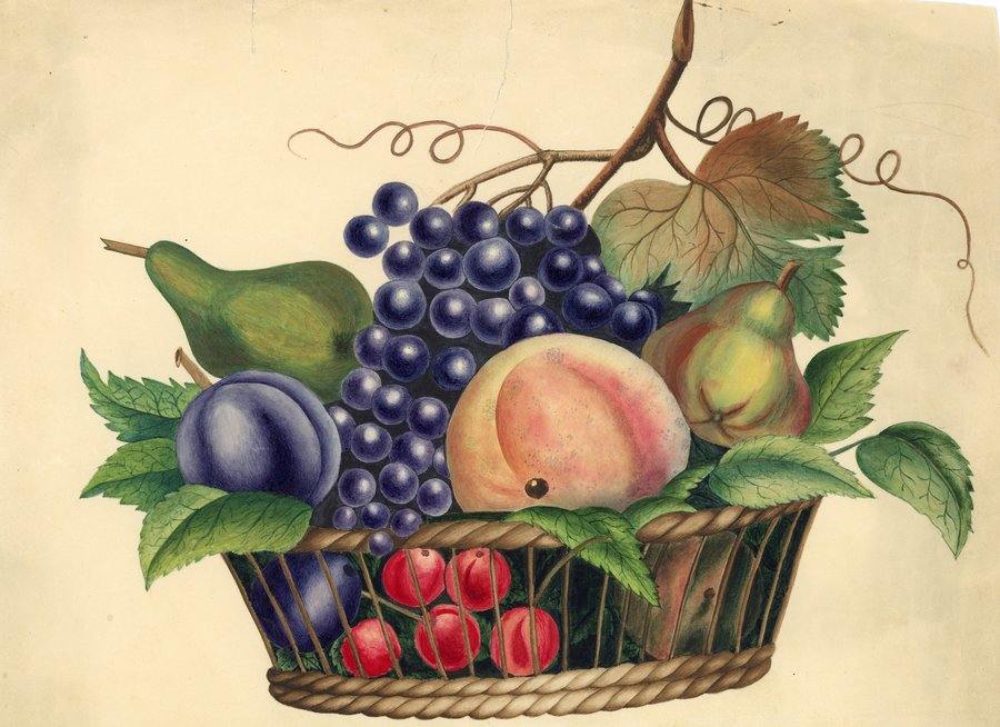 Painting of a fruit basket with pears, grapes, cherries, a peach, a plum and foliage.