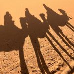 Shadows of three camels and their riders stretch across the desert sand.