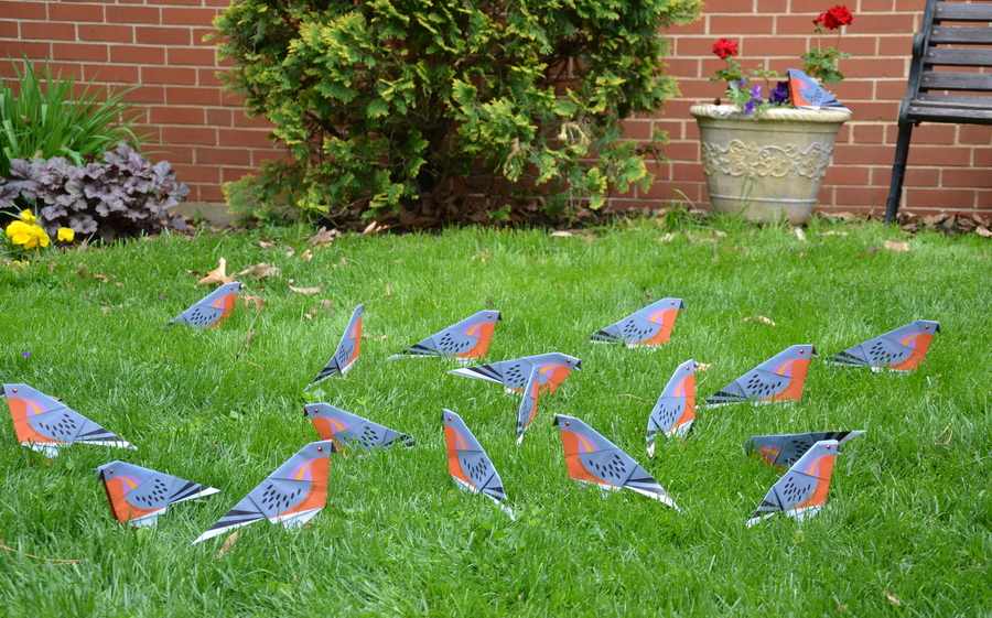 A flock of folded paper passenger pigeons congregate on the grass outside.
