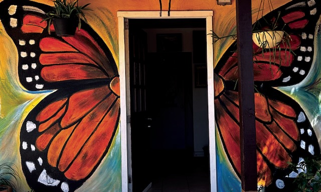 Brightly colored monarch butterfly wings are painted one either side of an open black door.