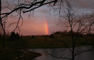 A rainbow is seen through bare branches, glowing amidst the evening clouds.