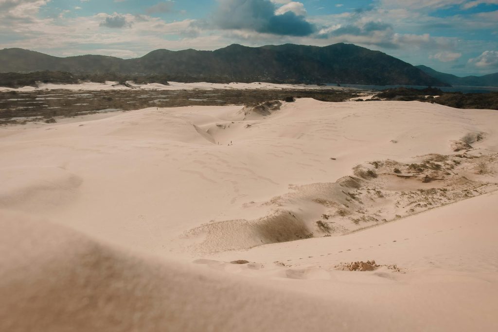 scenic view of a desert