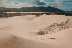 scenic view of a desert