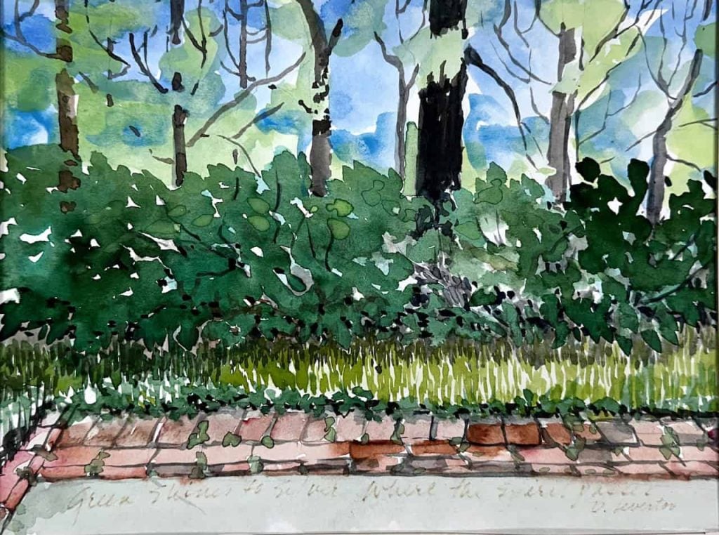 watercolor painting of trees and grass with various shades of light and dark green