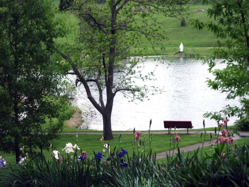 A pond is surrounded by lush green grass and foliage with blue, pink and white flowers close to the camera.