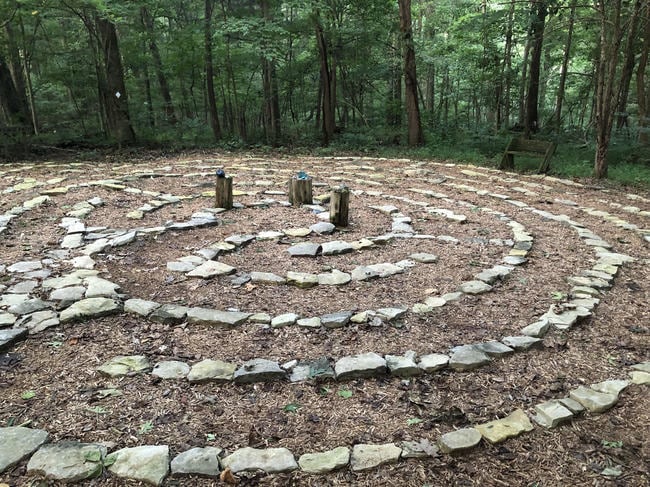 A labyrinth of rocks on the forest floor with green trees behind it.