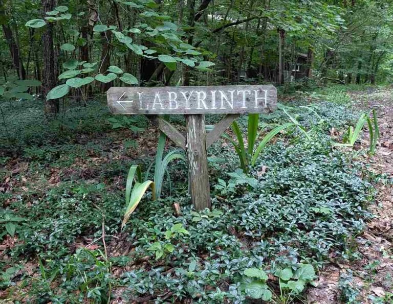 A wooden sign that says, "Labyrinth" in a green forest.