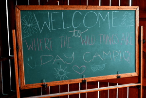 A chalkboard that says "Welcome to where the wild things are day camp"
