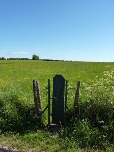 Narrow gate into field