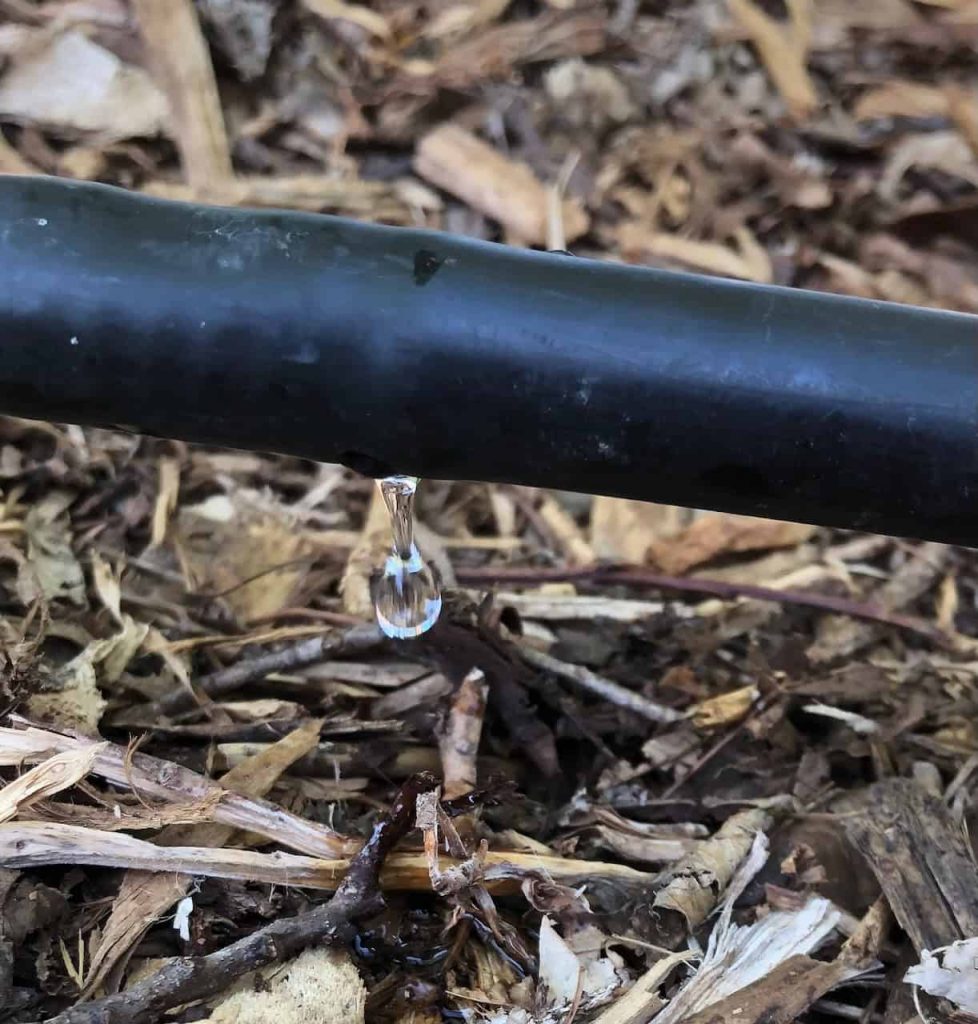 Drops of water penetrate deeply into the ground from a black pipe in order to reach the roots below.