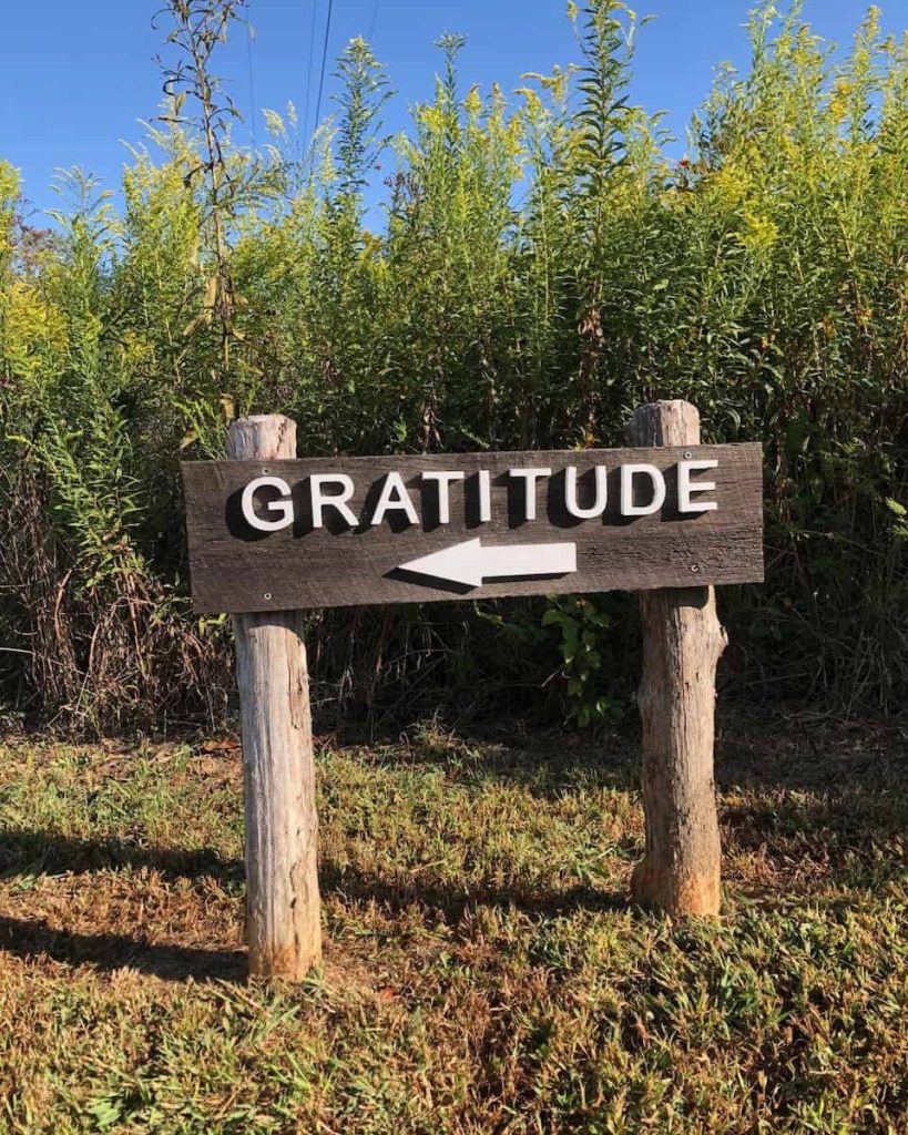 A wooden sign outdoors in the grass with white text that says "Gratitude" with an arrow pointing to the left. Behind the sign are tall native grasses and a blue sky.