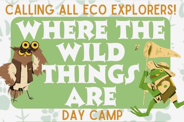 Promotional image with a cartoon owl peering through binoculars and a frog with a explorer hat and bug net. Text reads "Calling all eco explorers! Where the Wild Things Are Day Camp"